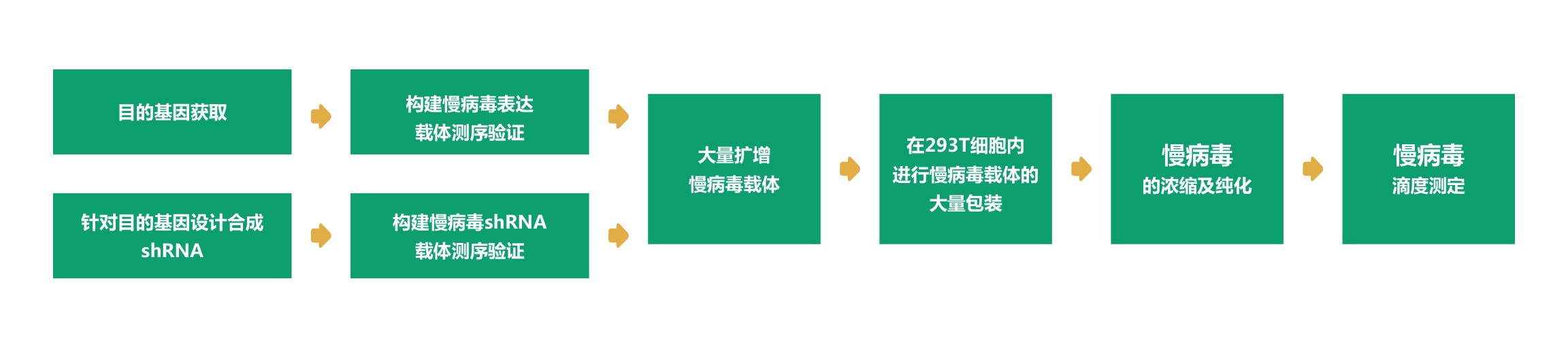 kaiyun体育网页版官网下载-慢ky体育app登录平台在线APP下载流程