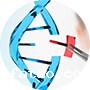 CRISPR/Cas9系统